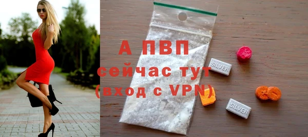 гидра Аркадак