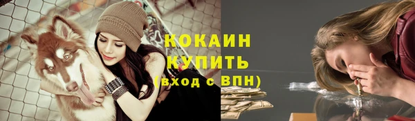 гидра Аркадак