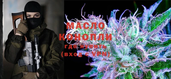 шишки Покачи
