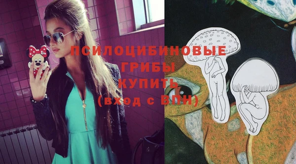 Альфа ПВП Арсеньев